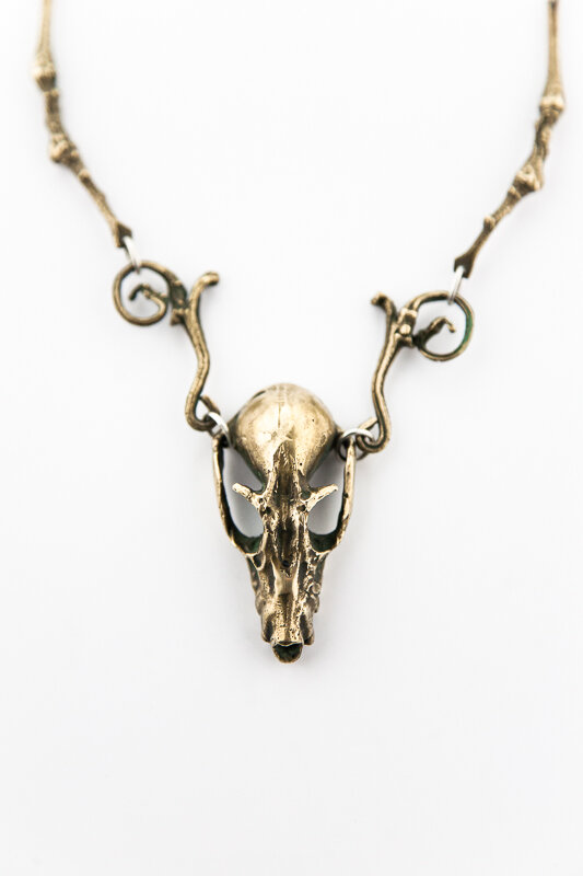 Pteropus Vampyrus (Flying Fox Bat Skull) #8560 — Stacy Hopkins Design